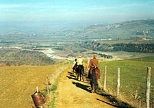 Italy-Tuscany-Explorer Rides in Tuscany